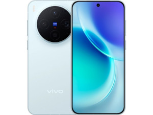 vivo X300
